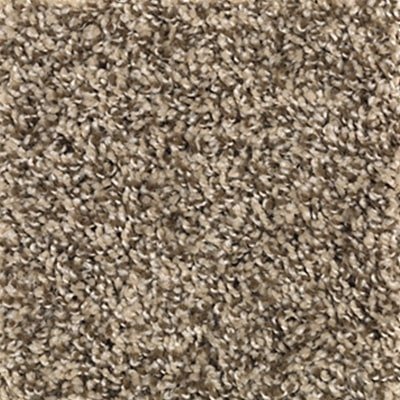 shaw break away desert carpet in Lakewood, CA from B&B Carpets and Flooring