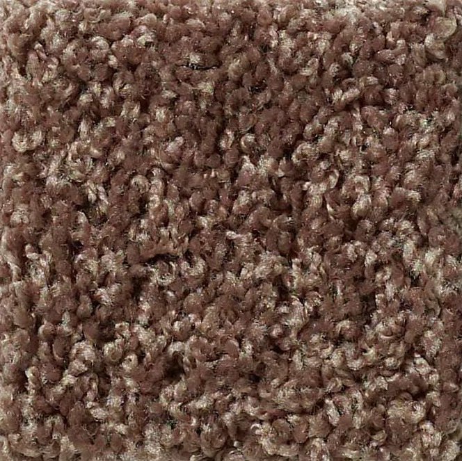 shaw ride it out nutshell carpet in Seal Beach, CA from B&B Carpets and Flooring